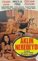 Aklın Neredeydi Erotik Film izle