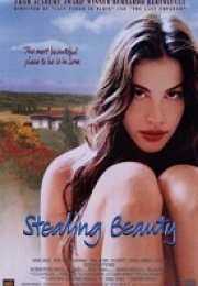 Stealing Beauty Erotik Film izle